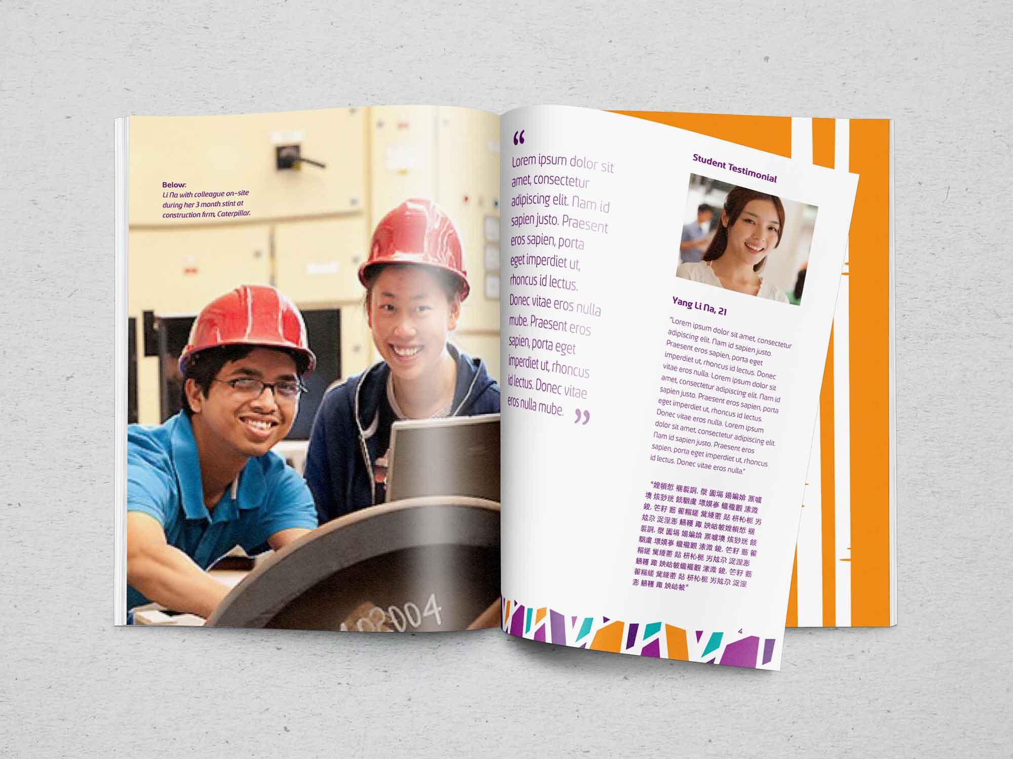 Brand Consultancy in Education Industry. Brochure for Barclyne.