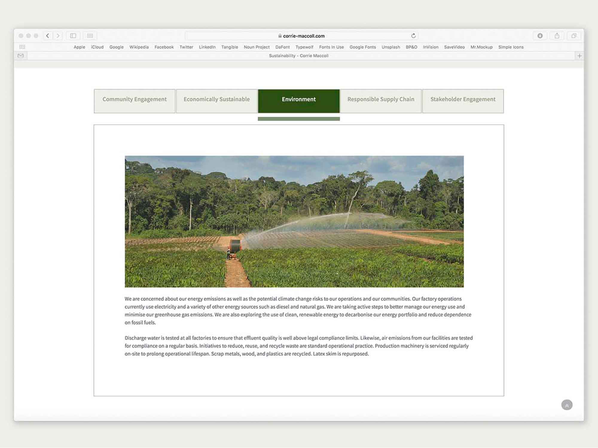 Brand Consultancy in Agriculture Industry. Website Design for Corrie MacColl