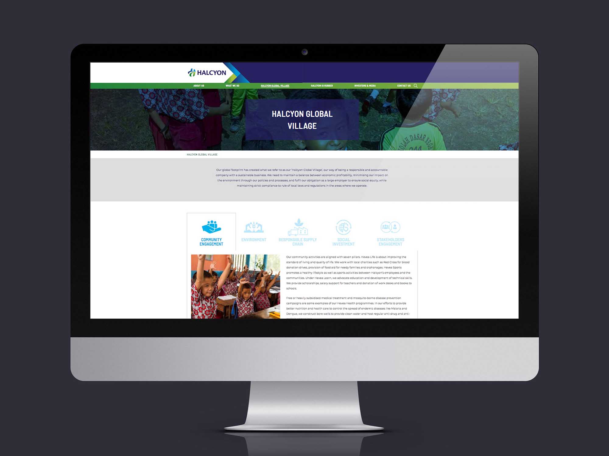 Brand Consultancy in Agriculture Industry. Website Design for Halcyon Agri