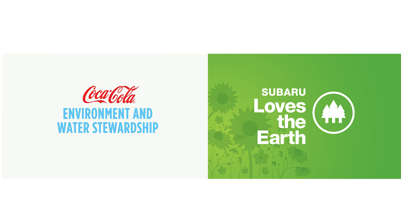 Successfully sustainable brands